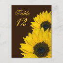 Suche nach braun postkarten Sonnenblume