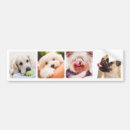 Suche nach fotos autoaufkleber Hunde