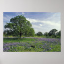 Suche nach wiese poster Farbenfroh