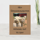 Suche nach alpaka geburtstag karten Für sie