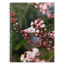 Suche nach kirschbaum kleine notizbücher Rosa