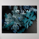 Suche nach bentley poster Schneeflocke