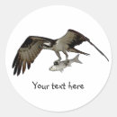 Suche nach osprey aufkleber Vogelvogel