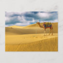 Suche nach rajasthan postkarten Wüste