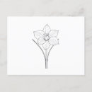 Suche nach narzisse postkarten Botanisch