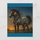 Suche nach appaloosa postkarten Pony