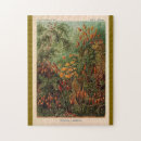 Suche nach haeckel puzzle Illustration