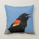 Suche nach amsel kissen Tier