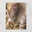 Suche nach winterzeit postkarten Blau