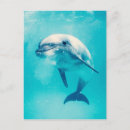 Suche nach niedlicher delphin postkarten Ozean