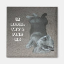 Suche nach lol magnete Katze