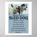 Suche nach schlittenhunde poster Alaska