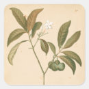 Suche nach platte aufkleber Gewebe