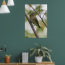 Suche nach grüne augen poster Tierwelt