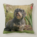 Suche nach haarig kissen Sitzen