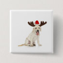 Suche nach geweih buttons Tier