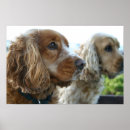 Suche nach cocker spaniel kunst poster Hund