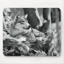 Suche nach gefährlich mousepads Wild