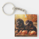 Suche nach über mastiffs schlüsselanhänger Welpe