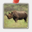 Suche nach nashorn ornamente Natur