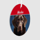 Suche nach schokolade labrador ornamente Haustiere