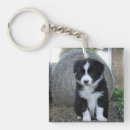 Suche nach collie schlüsselanhänger Grenze