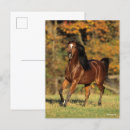 Suche nach bob postkarten Bucht