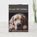 Suche nach labrador geburtstag karten Hund