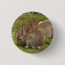 Suche nach niedliches kaninchen buttons Für sie