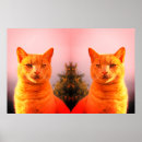 Suche nach katze und engel poster Katzen