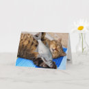 Suche nach fishermans karten Dad