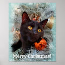 Suche nach black cat poster Schwarzkatze