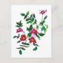 Suche nach rosa rosen postkarten Blumenreich