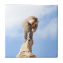 Suche nach lustiger affe fliesen Tiere