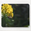 Suche nach hummel mousepads Fotografie