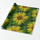 Suche nach sonne blume geschenkpapier Sommer