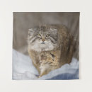 Suche nach pallas katze Palatkatze