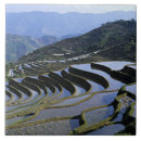 Suche nach terrassen fliesen Landwirtschaft