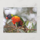 Suche nach kalorien postkarten Vogel