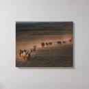 Suche nach jaynes galerie leinwandbilder Ranch