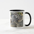 Suche nach tailles tasses Wild lebende tiere