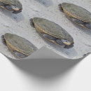 Suche nach schildkröte packpapier geschenkpapier Reptilien