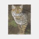 Suche nach kobold decken Katze