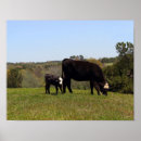 Suche nach weide poster Ranch