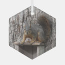 Suche nach eichhörnchen ornamente Verzierung