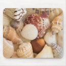 Suche nach seashell mousepads Nautisch