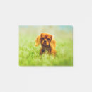 Suche nach feld poster post it Tier