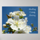 Suche nach medizin poster Nurse