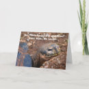 Suche nach ecuador karten Riesenschildkröte
