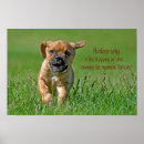 Suche nach puggle poster Haustier